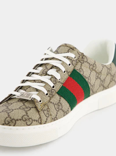 GUCCI Classic Web-Trim Sneakers